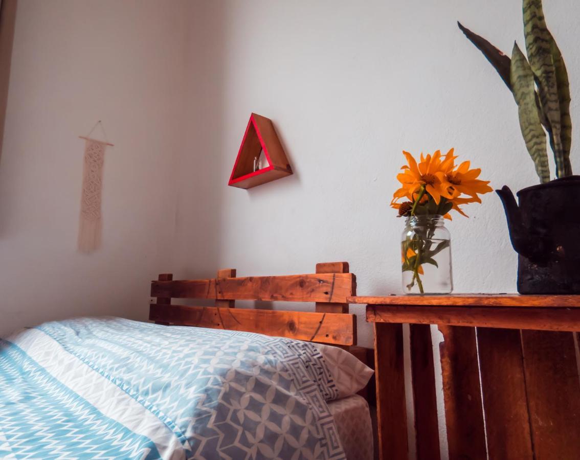 Florianópolis Hostel Vagamundo المظهر الخارجي الصورة